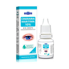 Image result for Cineraria maritima