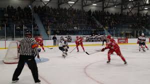 Image result for Romford Raiders