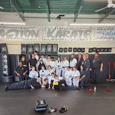 Image result for Action Karate