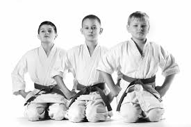 Image result for Shotokan Karate