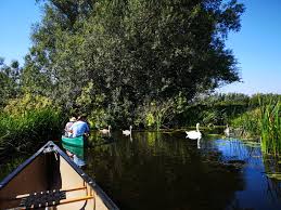 Image result for Stour Valley Canoe Club