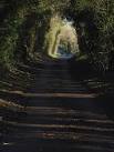 SU4955 : The lane at Ashley - via Daymix