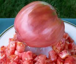 Afbeeldingsresultaat voor butter and bull heart tomato