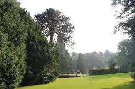 Image result for Hexham Golf Club Ltd