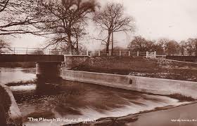 Image result for Byfleet Angling Club