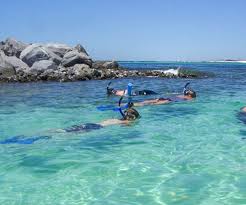 Image result for East Snorkellers