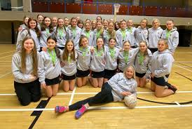 Image result for Stocksbridge Netball Club