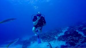 Image result for Black Country Barracudas Sub Aqua Club