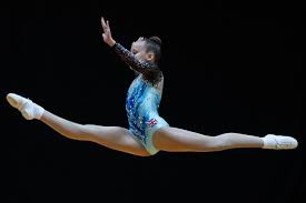 Image result for Heathrow Aerobics Gymnastics Club