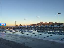 Image result for Elmbridge Phoenix Swimming Club