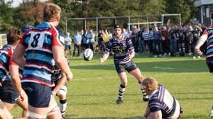 Image result for Ellingham and Ringwood Rugby Club