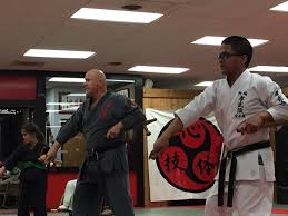 Image result for Konjaku Shin National School Of Karate, Lincolnshire