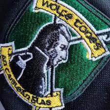 Image result for Wolfe Tones Gaelic Athletic Club