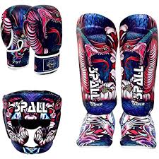 Image result for Vipers Thai/Kickboxing School