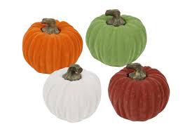 Image result for Kürbis