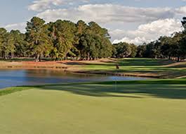 Image result for Dolphina Gc