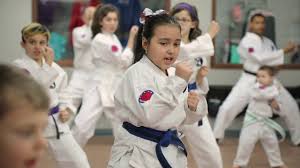 Image result for COURT FIELDS karate Academy