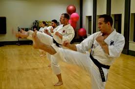 Image result for Harrow Shorinji Kempo