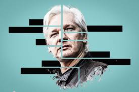 Image result for assange