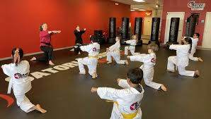 Image result for New Path Martial Arts Academy