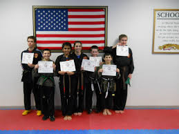 Image result for Hidden Dragon Karate-Do