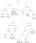 Diagnostic Approach to <b>Dyspnea</b>