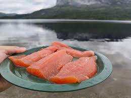 Image result for Salmo trutta trutta