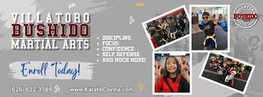 Image result for Villatoro Bushido Martial Arts