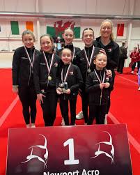 Image result for Crewe & Nantwich Gymnastics Club