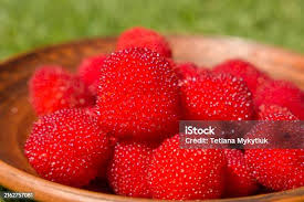 Attēlu rezultāti vaicājumam “Rubus illecebrosus fruit”