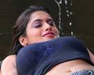 Actress Album: Soundarya Tamil Movie Hot Photos