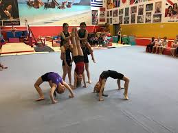 Image result for Arabian School Of Gymnastics, Milton Keynes