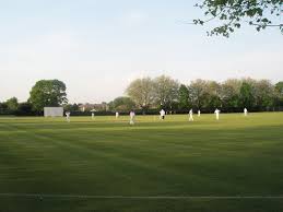 Image result for Waterlooville Cricket Club