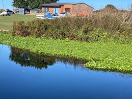 Image result for Tewkesbury Cruising & Sailing Club