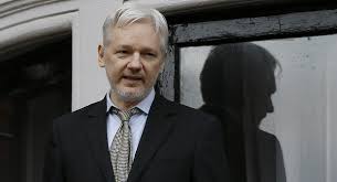 Image result for julian assange