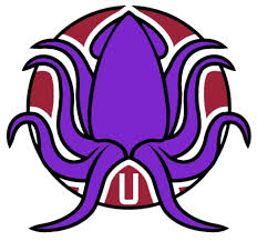 Image result for Kingsbridge Krays Octopush Club