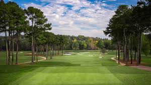 Image result for Tadworth Athletic Club