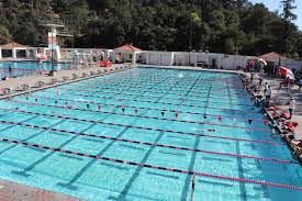 Image result for Rose Leisure Bowls Club