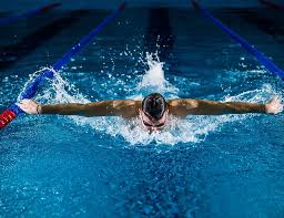 Image result for Stocksbridge Pentaqua Swimming Club