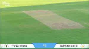 Image result for Tynedale Cricket Club