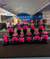 Image result for Firestorm Cheerleaders