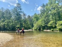 Image result for Peebles & District Riding Club