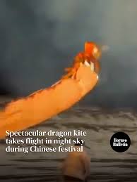 Image result for BARNET and WHETSTONE CHANGQUAN FLYING DRAGON