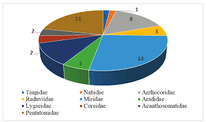 Attēlu rezultāti vaicājumam “Chlorochroa juniperina imago”