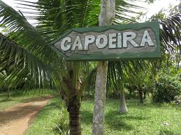 Image result for Group Senzala Scotland