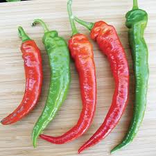 Afbeeldingsresultaat voor turkish cayenne hot pepper