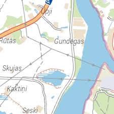 Attēlu rezultāti vaicājumam “Bilimbia tetramera”