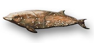 Image result for Ziphius cavirostris