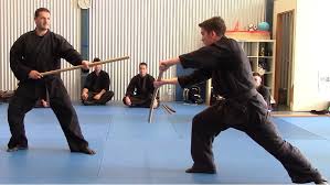 Image result for Bridge Hall Bujinkan Dojo