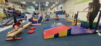 Image result for Goring Gymnastics Club
